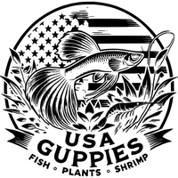 USA Guppies