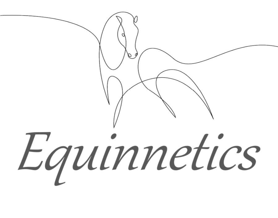 Equinnetics - Equine Therapy, Equestrian, Horse