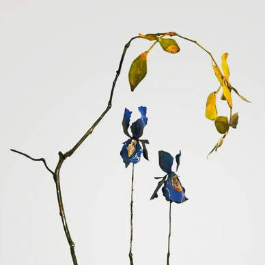 sculpture jeff alarie bois dormants art réaliste fleur iris organique acier sculptur