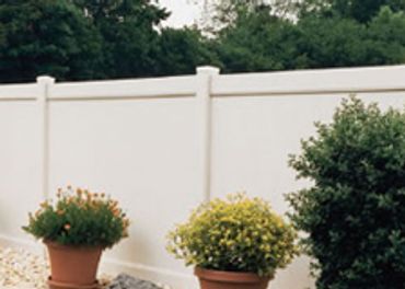 The Potted Plants Near A Gate