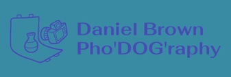 Daniel Brown Pho'DOG'raphy