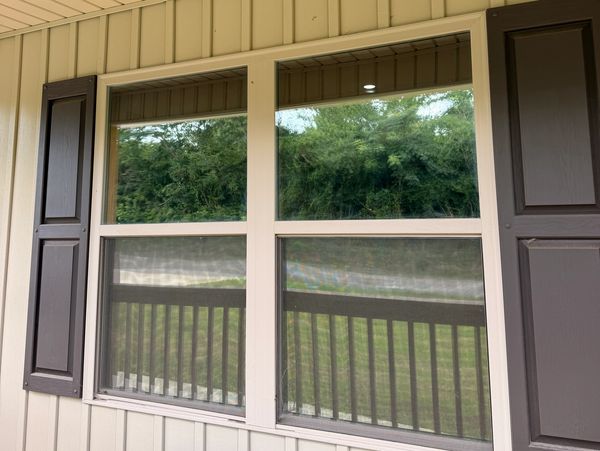 Window reflecting greenery outside.