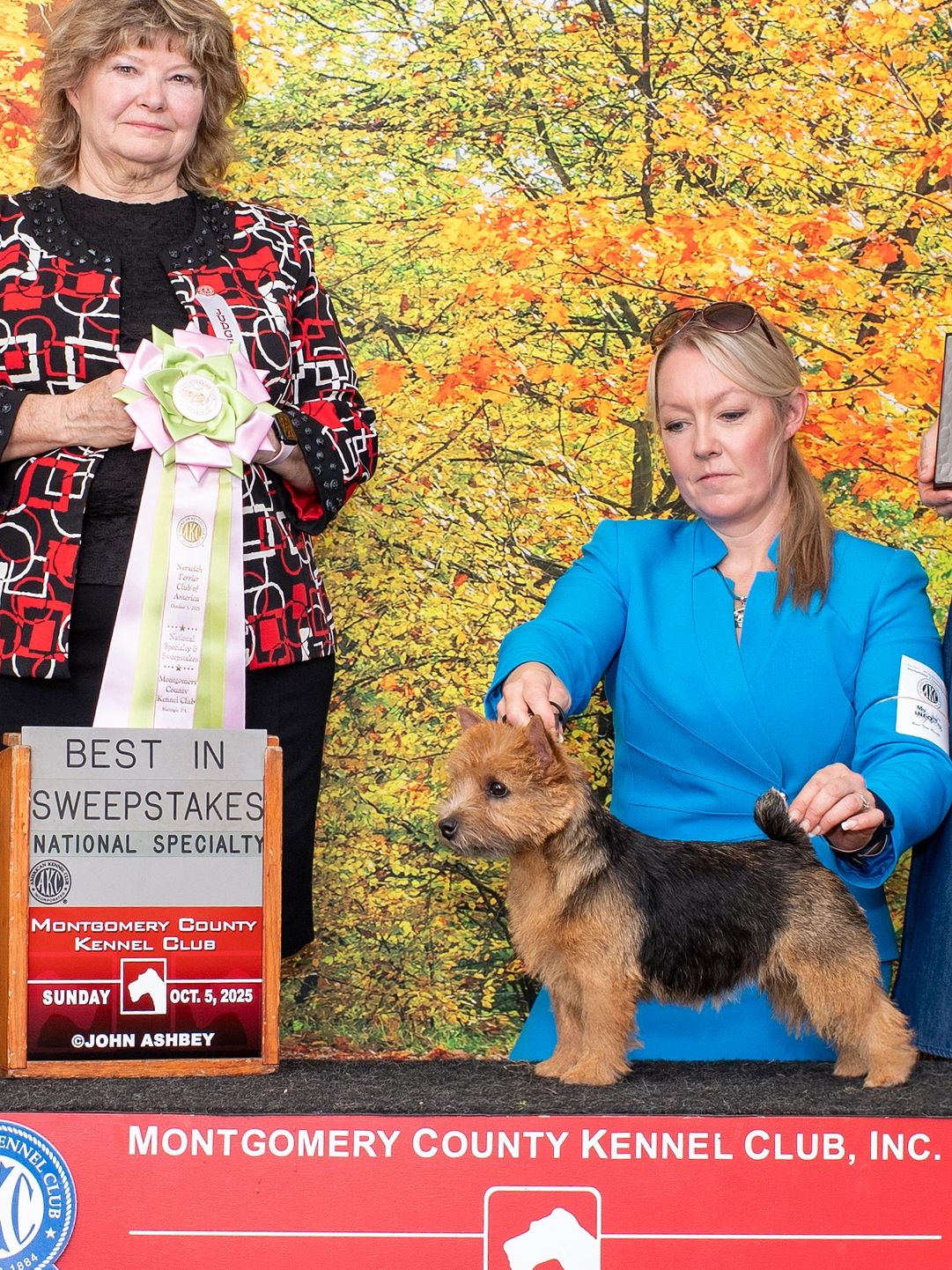 Young Ripley had an exciting day going Best In Sweeps at the prestigious Montgomery Kennel Club show