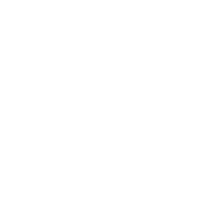 WhiteKiss Ragdolls
