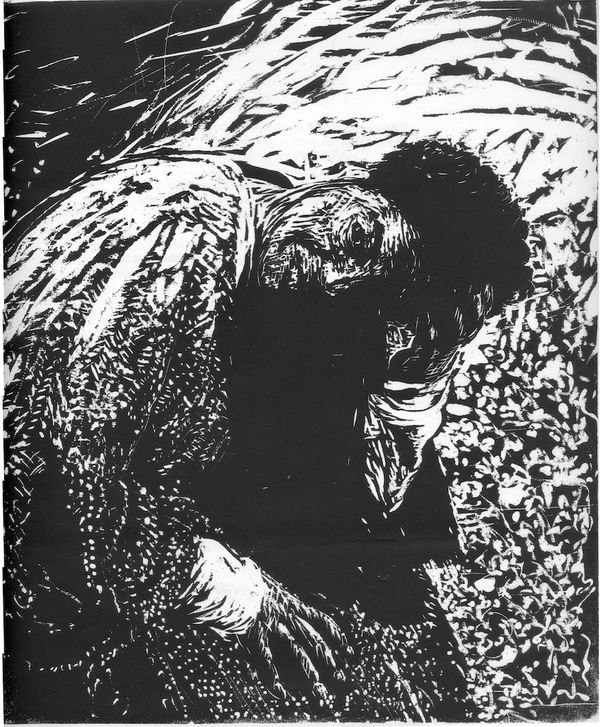image11