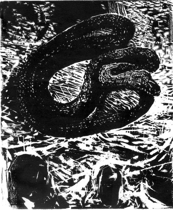 image20