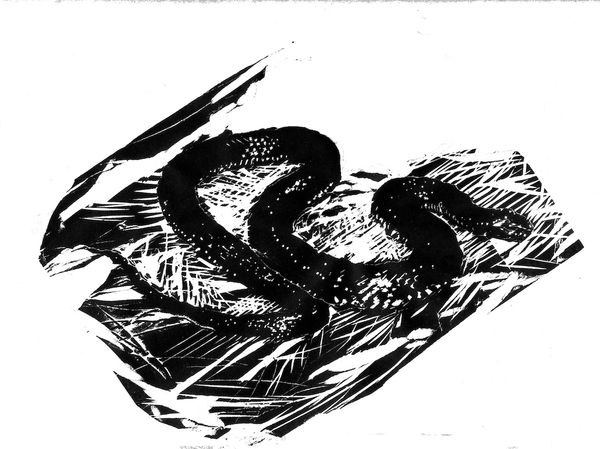 image27