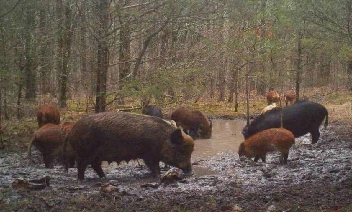 Contact Us | Predator Racks