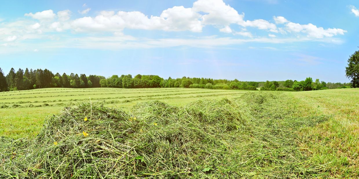 hay, soil and forage testing, kittitas county