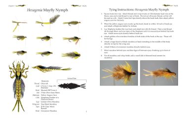 Illustration and tying instructions for Heptagenia Mayfly Nymph fishing lure.
