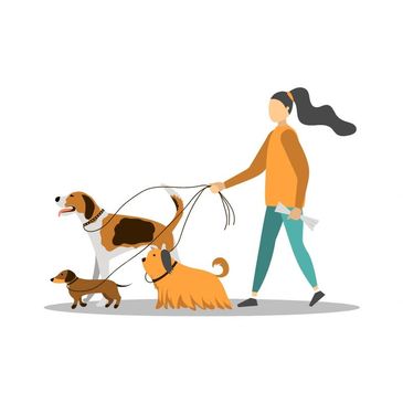 Best Dog Walker Stamford CT