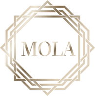 Museum of Living Arts 