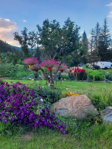 A vibrant garden with colorful flowers and a tree.