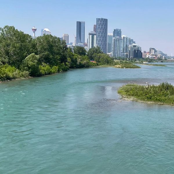 Calm river flowing beside a city skyline with modern buildings under a clear blue sky.