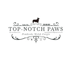 Top Notch Paws