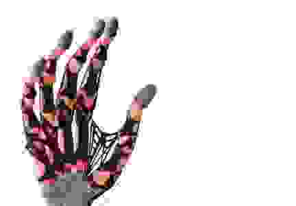 Best-in-class biomimetic robotic hand based on human physiology.  Bones, ligaments, fixation points,