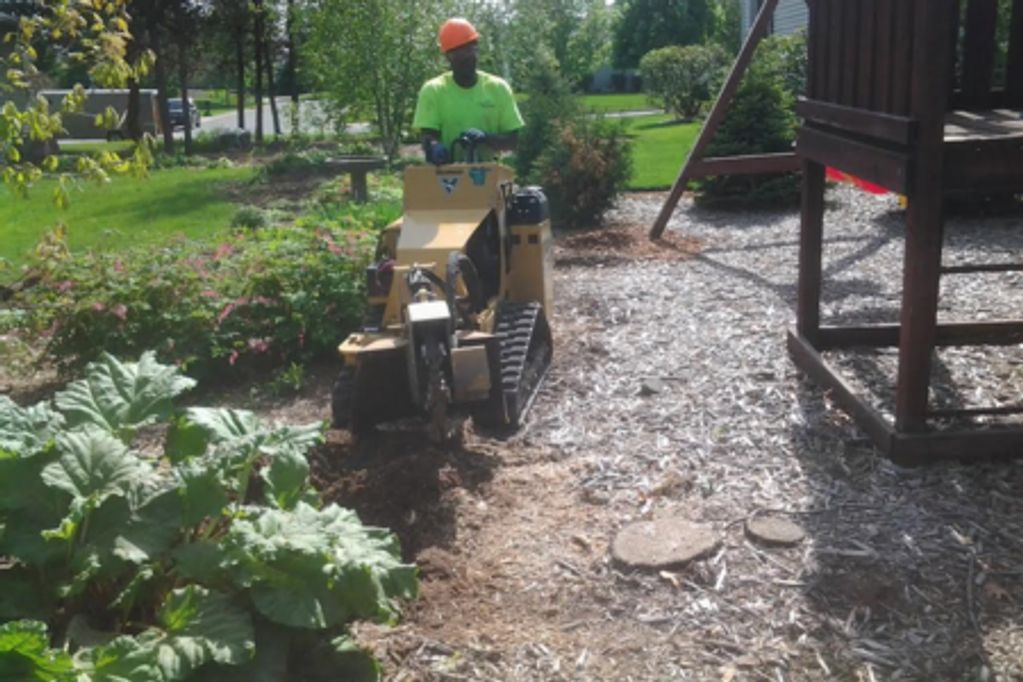 stump grinding