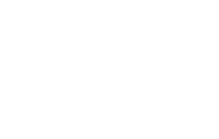 Stoic Fox Advising