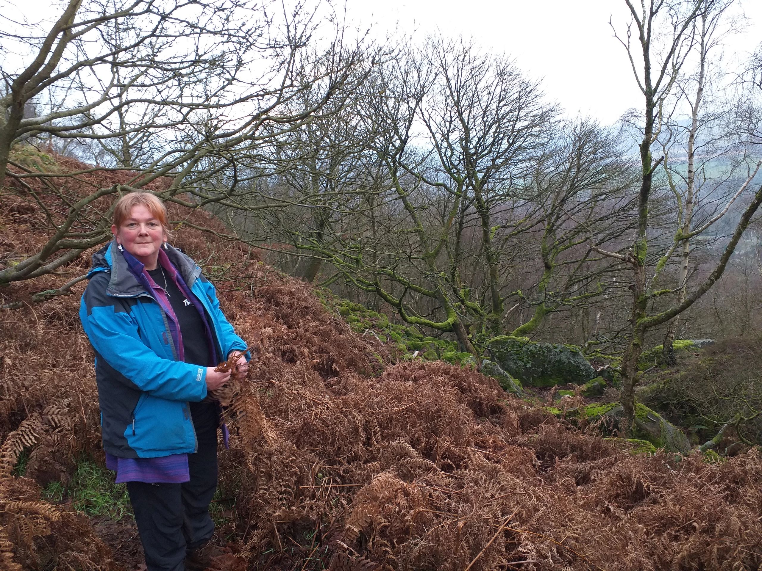 Gaynor Foraging for food