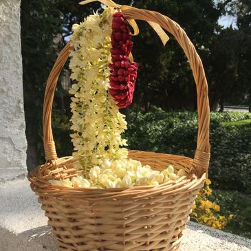 Bulk Jasmine Flowers 