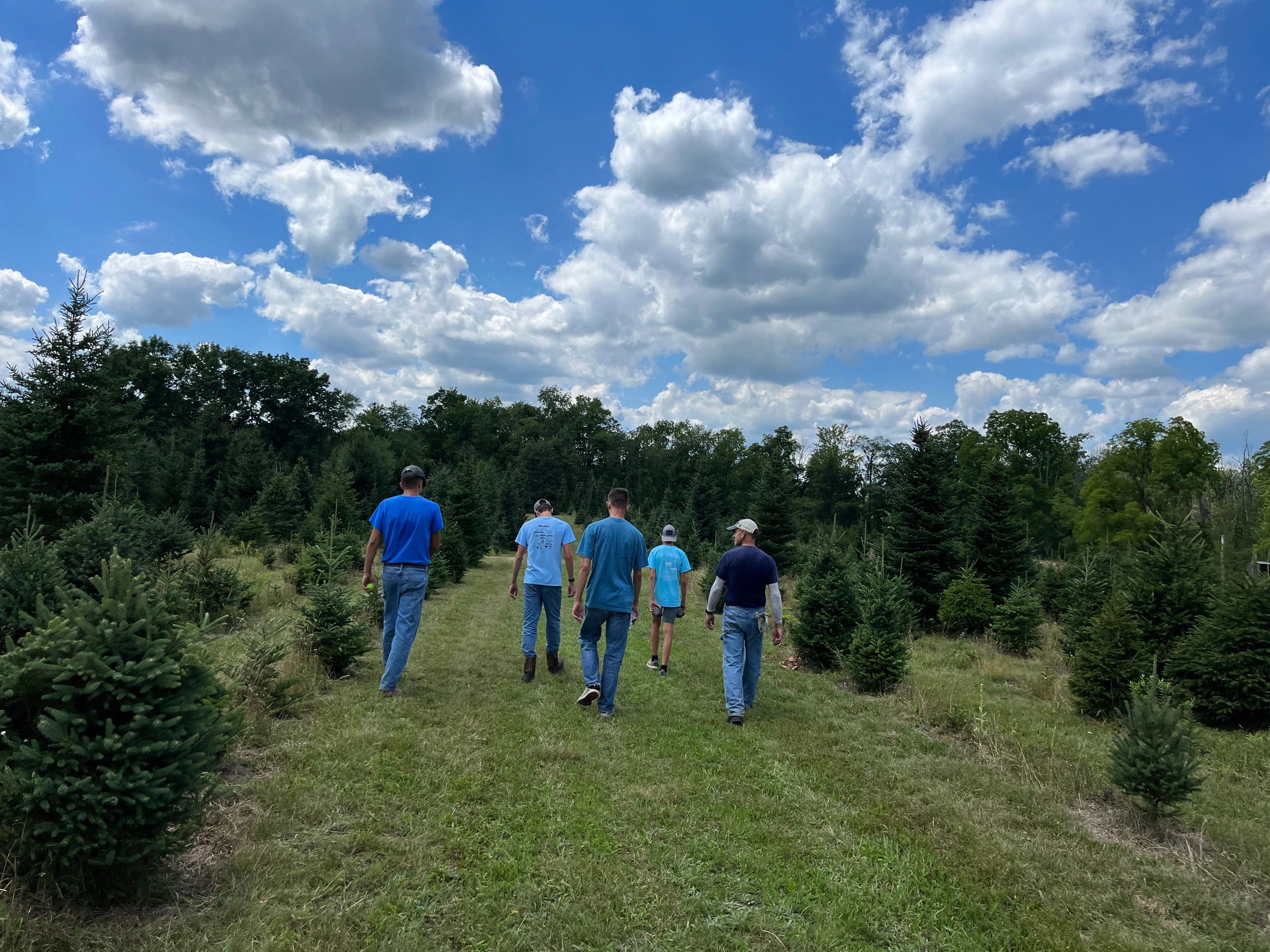 Evergreen Timbers Tree Farm Christmas Trees, U Cut