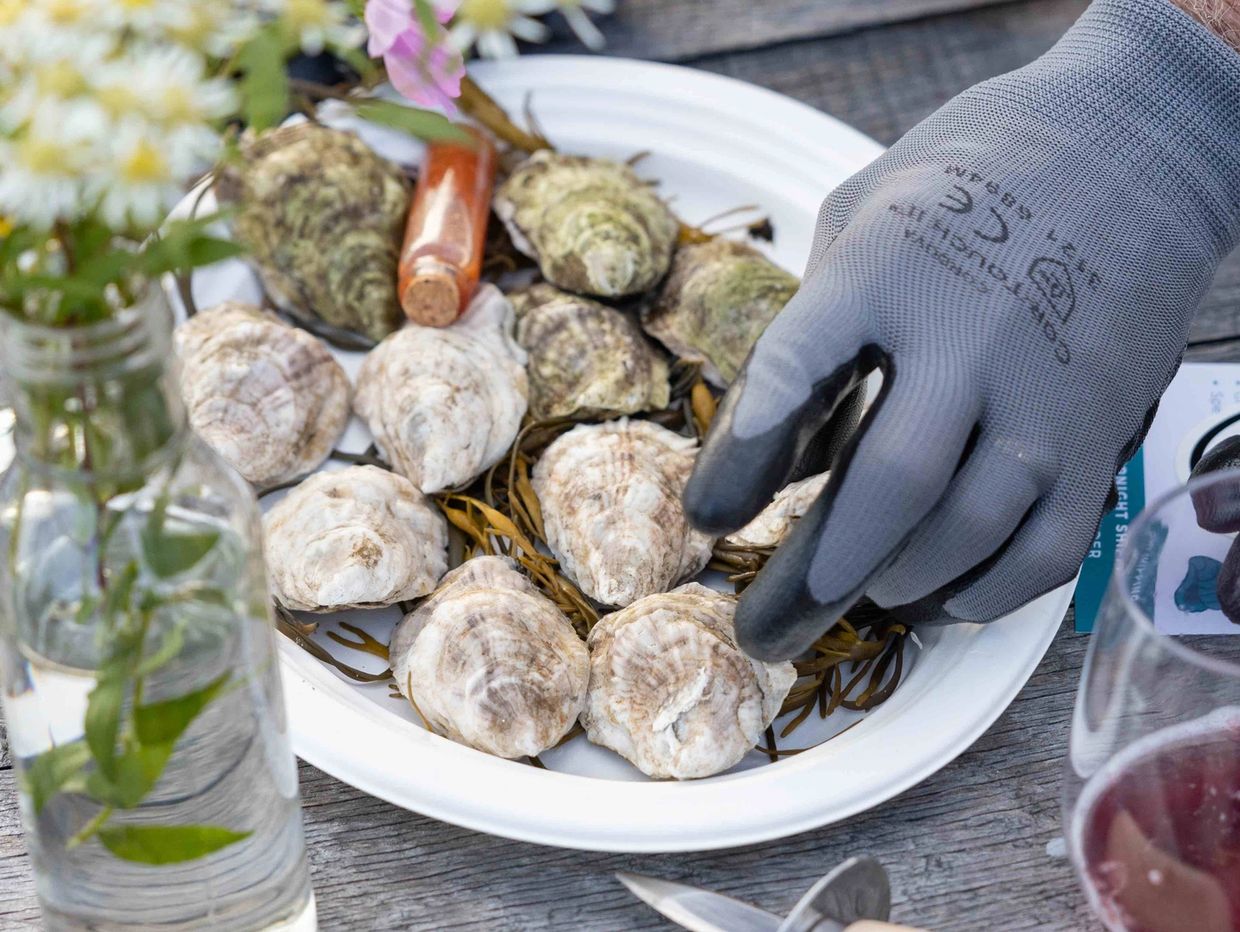 A plate of oysters and mignonette