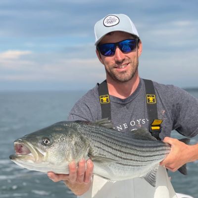 Captain Joe Jerome, a registered Maine fishing guide, holding up a large striper