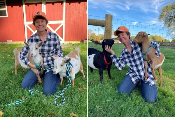 Sue and goats