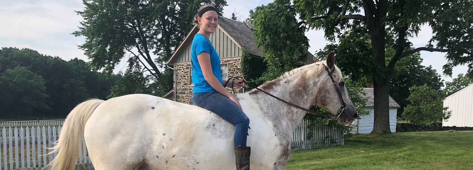 Donate National Riding Stables Horse Rescue