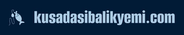 kusadasibalikyemi.com