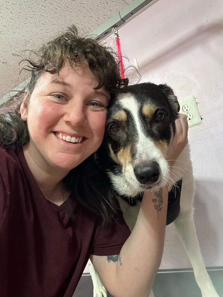 Jackson had been with us for 3 years. He thrived with our one-on-one and low noise salon.