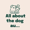 All about the dog...