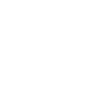 skinology
