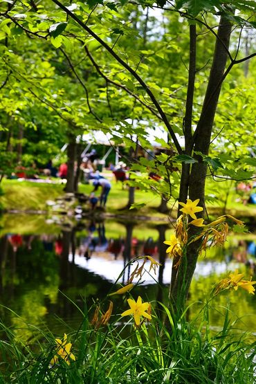 Vermont Events Photography 