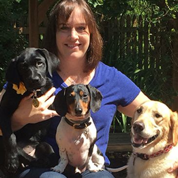 Woman with three dogs of different breeds outdoors.