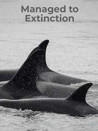 A pod of orcas swims with the text 'Managed to Extinction' above.
