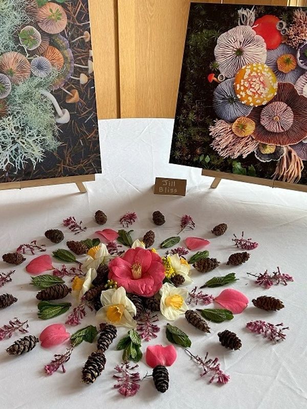 Floral and pinecone mandala on white cloth with nature photos in background.