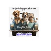 DogGo Cab