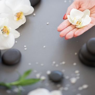 This image portrays a hand offering a lotus flower.