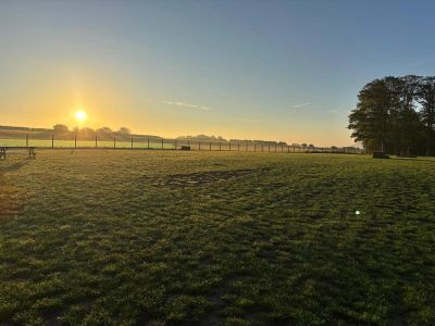 Sunrise over a vast grassy field with trees and a fence.
