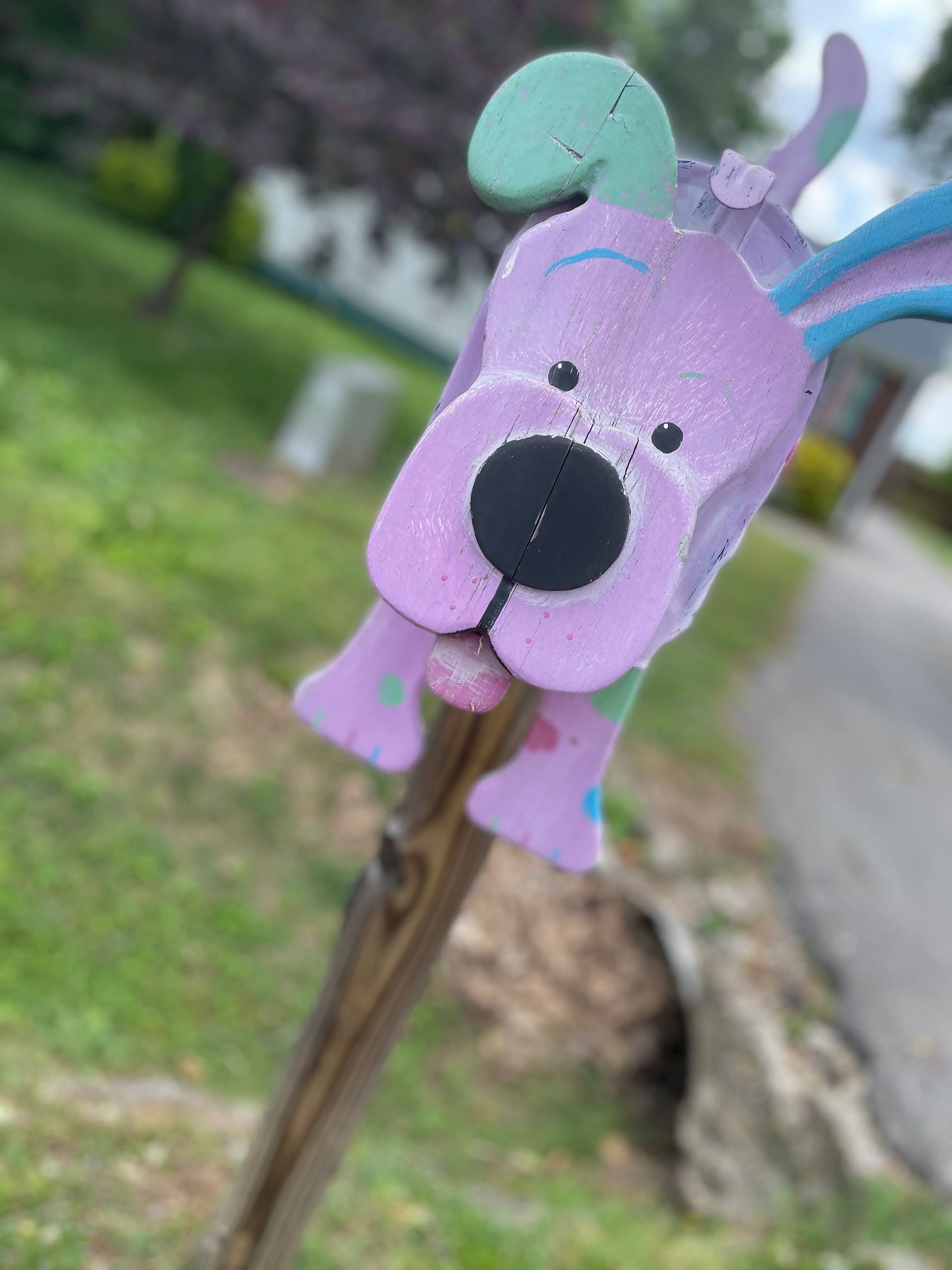 Izzy Pop Pet Salon - Pet Services in Nashville