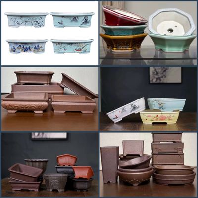 Various ceramic bonsai pots in different shapes, sizes, and colors.