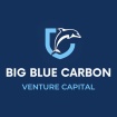 BBC Venture Capital