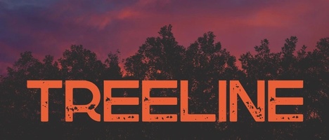 Treeline Outdoor Services