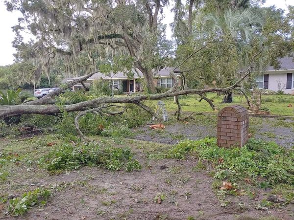 Storm damage, fallen tree, property assessment, Sun City Center, FL