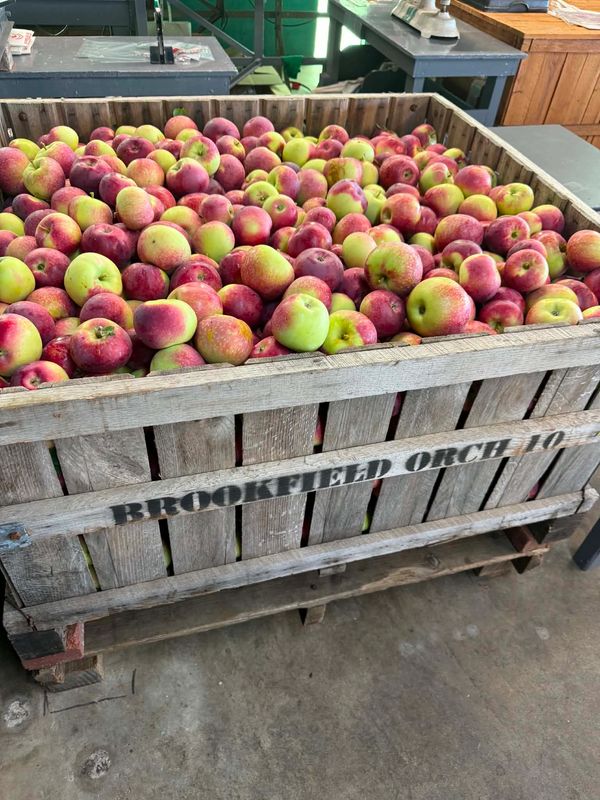 Paula Red Macintosh 
Apples are now in the store!