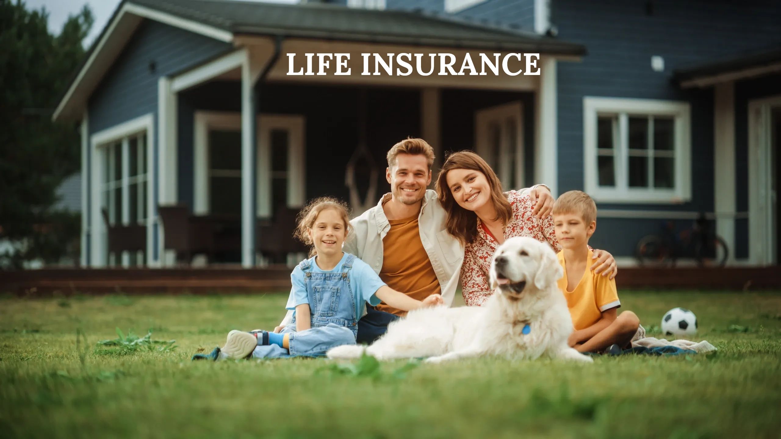 Insurance Education Hub