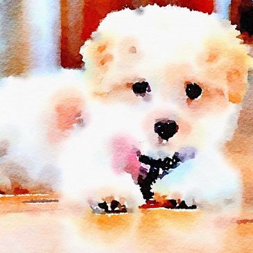 Watercolor Art of My Darling Dogs Cotons Cali