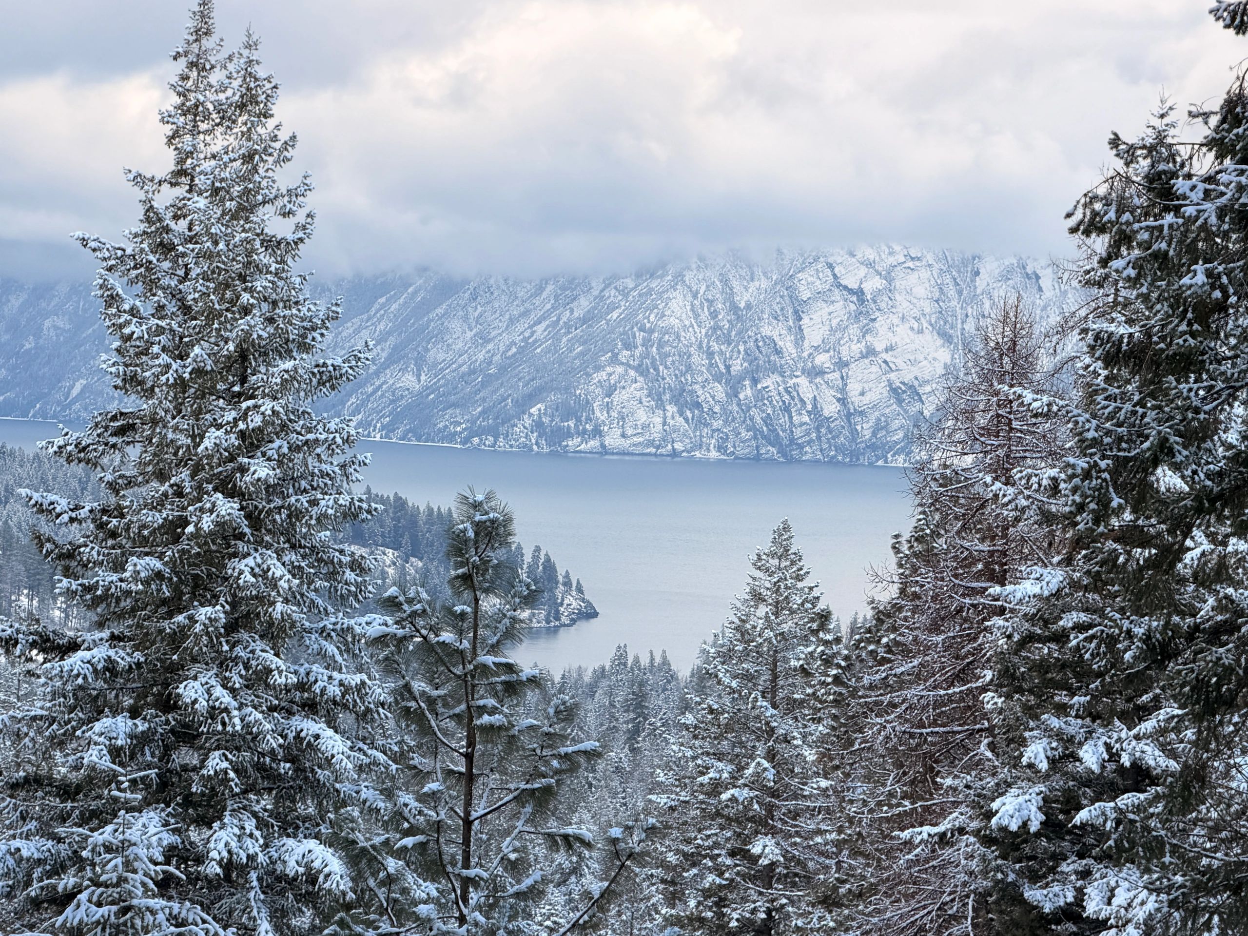 Garfield Bay, Dec 2025, zoomed in from the balcony of the Red Hen Retreat .
