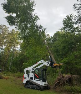 Tree Pulling